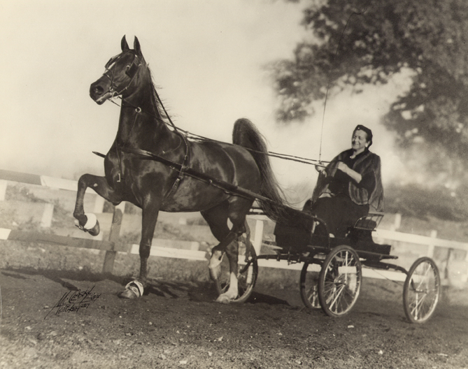 Historical campus image of horse pulling a wagon.