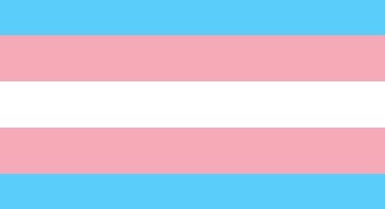 A transgender flag of blue, pink and white stripes