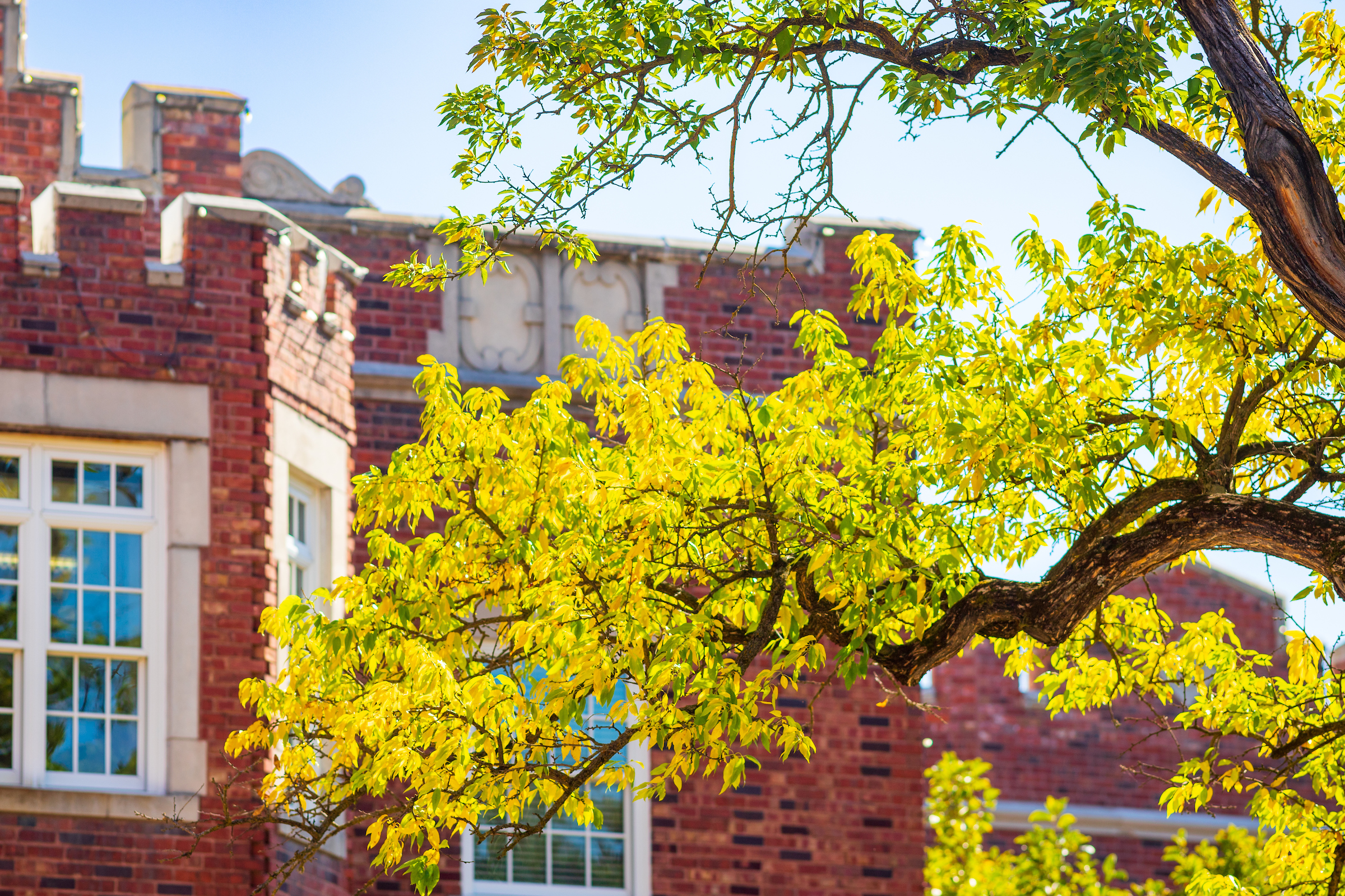 Columbia College's Rogers Gate