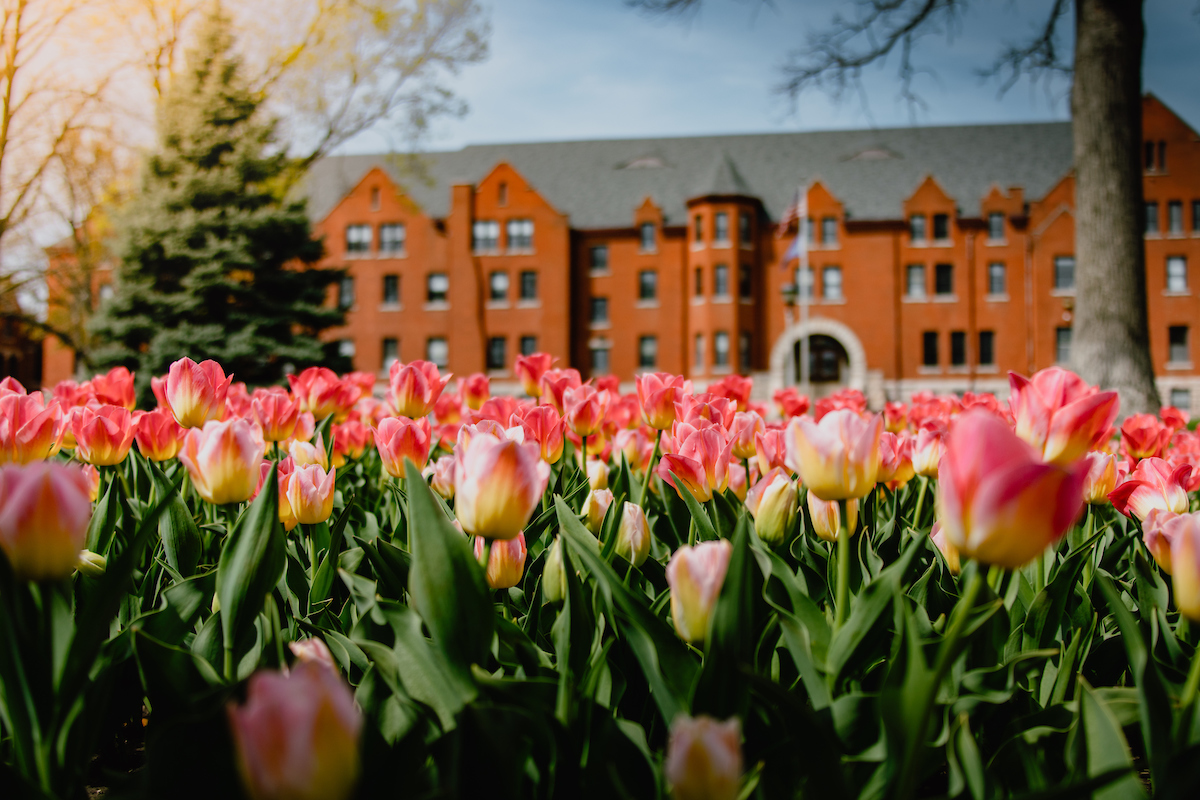 Image of St. Clair Hall surrounded by colorful tulips in the spring.